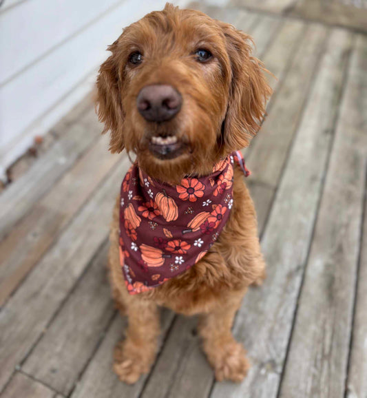 Tie Around Dog Bandana